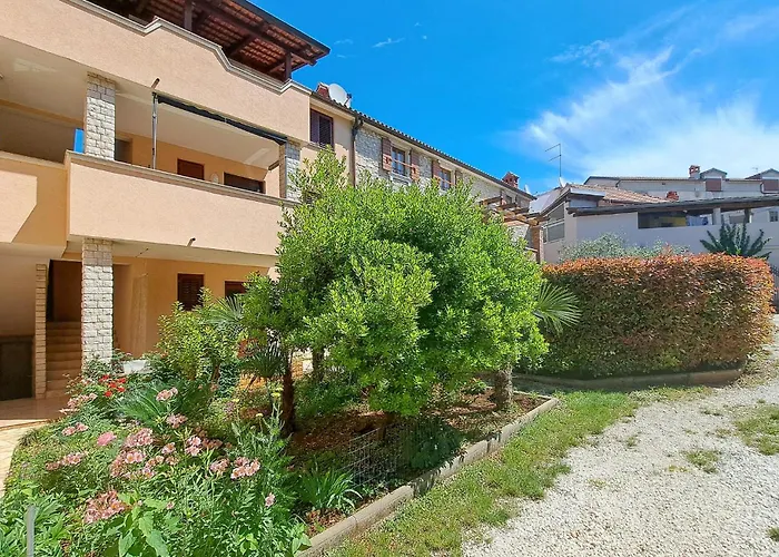 In With Wifi Medulin